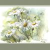 bratchuk-olga-42