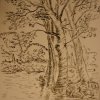 grigorjanc-ekaterina-2