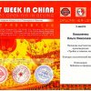 kovalenko-olga_20